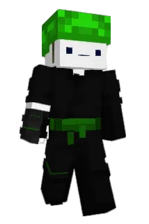 ninjakoeb Minecraft avatar full body