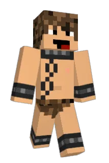 ninjamdw Minecraft avatar full body