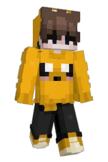 ninjann200 Minecraft avatar full body