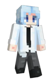 ninjascout Minecraft avatar full body