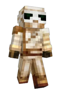 ninjattt Minecraft avatar full body