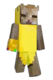ninjazbrazyli67 Minecraft avatar full body