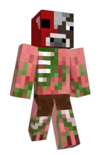 nintendite Minecraft avatar full body