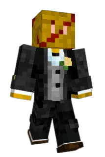 nintendocubeboy Minecraft avatar full body