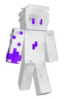 niqleclimat Minecraft avatar full body