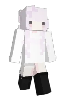 nirt Minecraft avatar full body