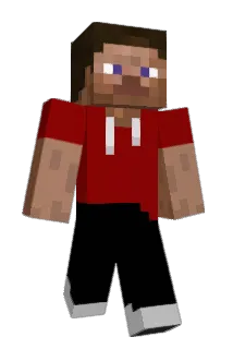 niryxX Minecraft avatar full body