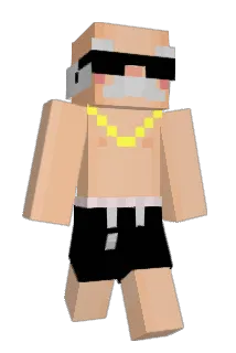 nisviax Minecraft avatar full body
