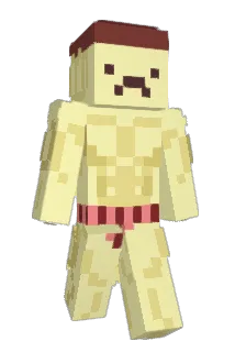 nivesmellony Minecraft avatar full body