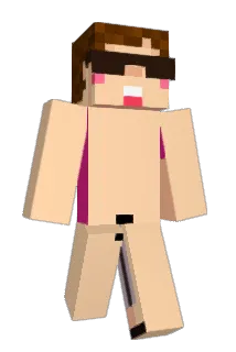 niwachin Minecraft avatar full body
