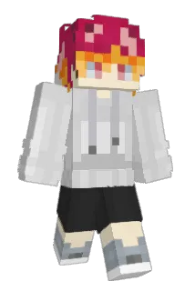 niwatori67 Minecraft avatar full body