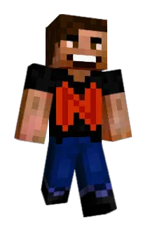 niwe Minecraft avatar full body