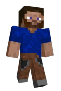 niwi72 Minecraft avatar full body