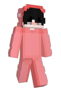 nixg_ Minecraft avatar full body