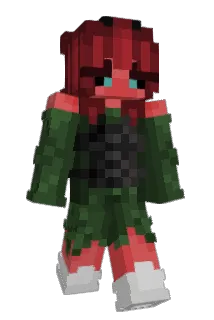 nixibugz Minecraft avatar full body