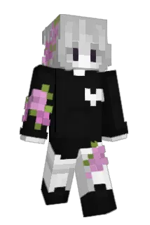 niznik Minecraft avatar full body