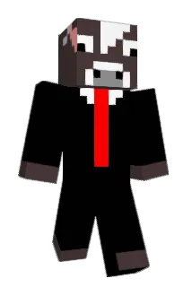 njyw43 Minecraft avatar full body