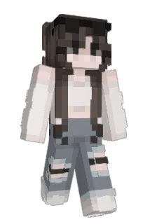 nlhensh Minecraft avatar full body