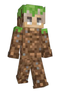 nmnnmmnmnmnmn Minecraft avatar full body