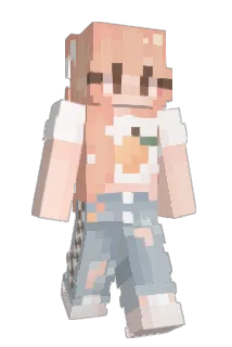 no0d1ez Minecraft avatar full body