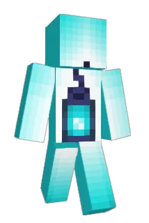 no21 Minecraft avatar full body