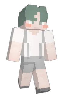 no__bot Minecraft avatar full body