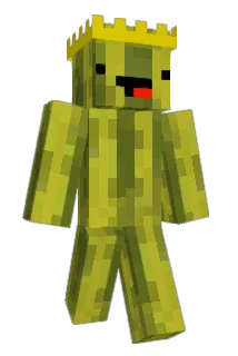 noahjc20082 Minecraft avatar full body