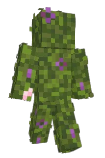 nobopyon Minecraft avatar full body