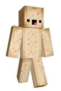 noelpx Minecraft avatar full body