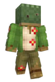 noetocs Minecraft avatar full body