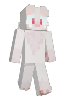 noetuka Minecraft avatar full body