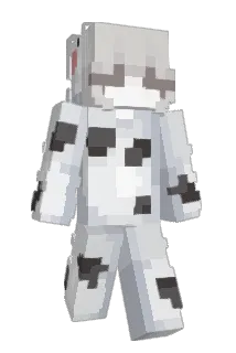 noinconsistency Minecraft avatar full body