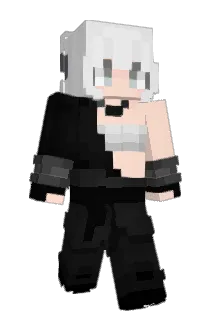 noitws Minecraft avatar full body