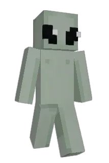 nolimitadot Minecraft avatar full body