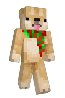 noly993 Minecraft avatar full body