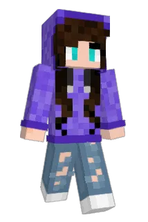 nomean2 Minecraft avatar full body