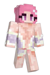 nomedigas Minecraft avatar full body