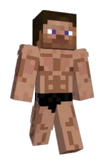 nomotto Minecraft avatar full body