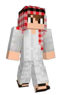 non1123 Minecraft avatar full body
