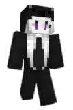 nonBAC Minecraft avatar full body