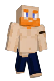 noodoo_ Minecraft avatar full body