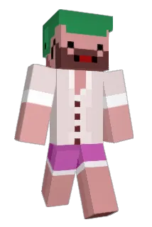 nookashrimp Minecraft avatar full body