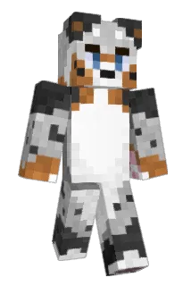 norfolker Minecraft avatar full body