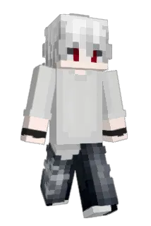 notLith Minecraft avatar full body