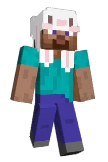 notXena Minecraft avatar full body