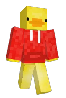 not_pratyush Minecraft avatar full body