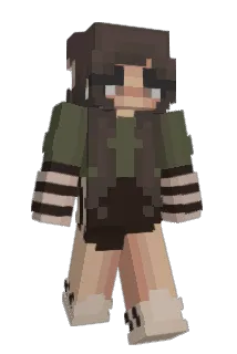 not_st4rr Minecraft avatar full body