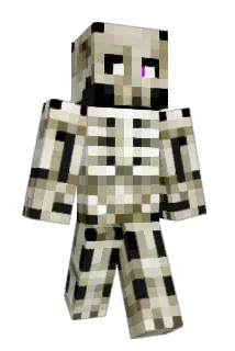 not_stevie_ Minecraft avatar full body