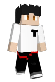 not_tgboy Minecraft avatar full body