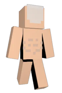 notanutsa Minecraft avatar full body